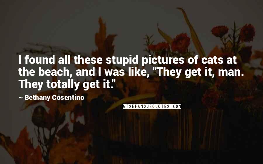 Bethany Cosentino Quotes: I found all these stupid pictures of cats at the beach, and I was like, "They get it, man. They totally get it."