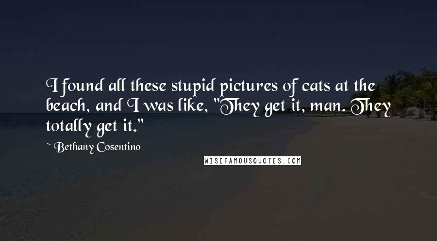 Bethany Cosentino Quotes: I found all these stupid pictures of cats at the beach, and I was like, "They get it, man. They totally get it."