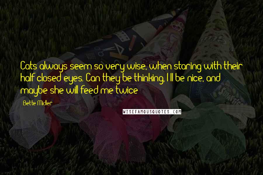 Bette Midler Quotes: Cats always seem so very wise, when staring with their half-closed eyes. Can they be thinking, I'll be nice, and maybe she will feed me twice?