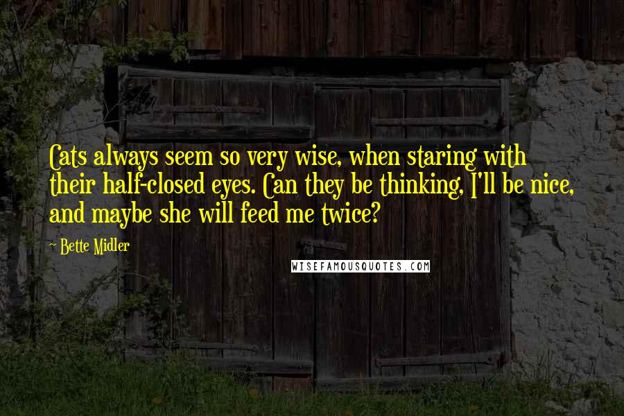 Bette Midler Quotes: Cats always seem so very wise, when staring with their half-closed eyes. Can they be thinking, I'll be nice, and maybe she will feed me twice?