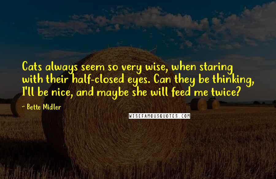 Bette Midler Quotes: Cats always seem so very wise, when staring with their half-closed eyes. Can they be thinking, I'll be nice, and maybe she will feed me twice?