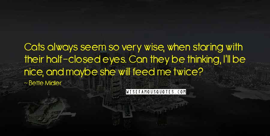 Bette Midler Quotes: Cats always seem so very wise, when staring with their half-closed eyes. Can they be thinking, I'll be nice, and maybe she will feed me twice?