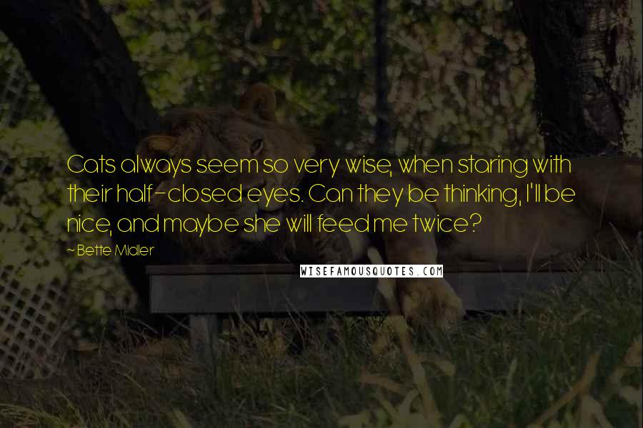 Bette Midler Quotes: Cats always seem so very wise, when staring with their half-closed eyes. Can they be thinking, I'll be nice, and maybe she will feed me twice?