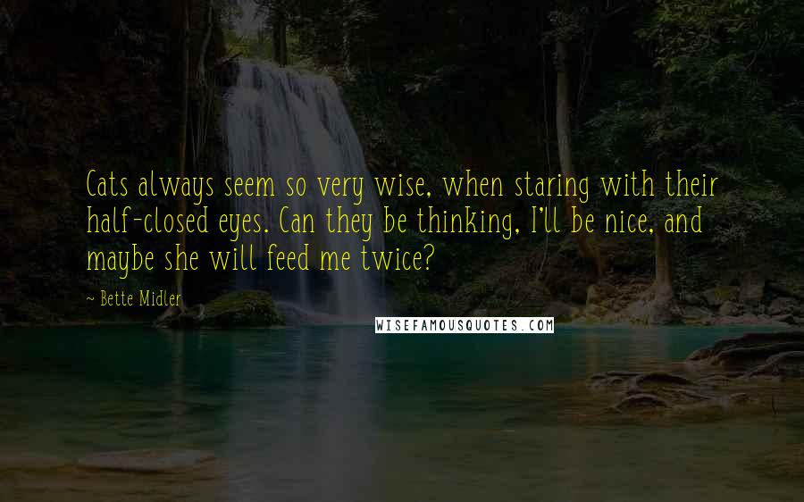 Bette Midler Quotes: Cats always seem so very wise, when staring with their half-closed eyes. Can they be thinking, I'll be nice, and maybe she will feed me twice?