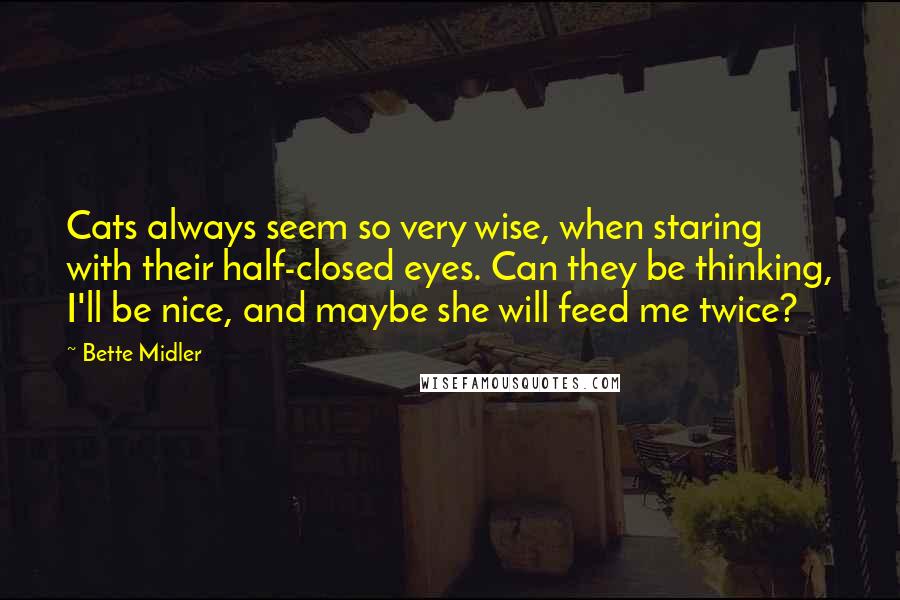 Bette Midler Quotes: Cats always seem so very wise, when staring with their half-closed eyes. Can they be thinking, I'll be nice, and maybe she will feed me twice?