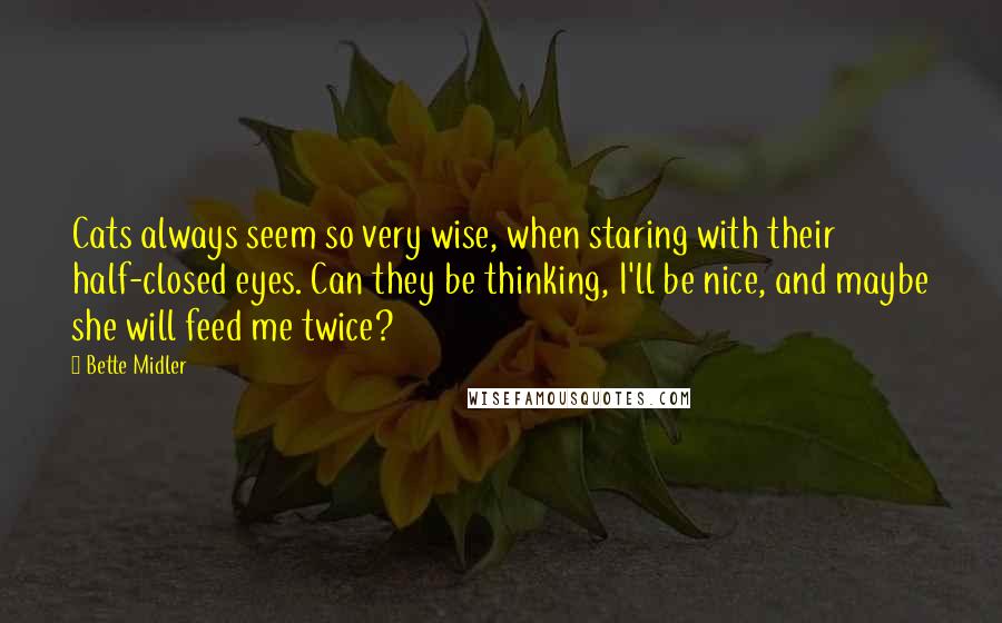 Bette Midler Quotes: Cats always seem so very wise, when staring with their half-closed eyes. Can they be thinking, I'll be nice, and maybe she will feed me twice?