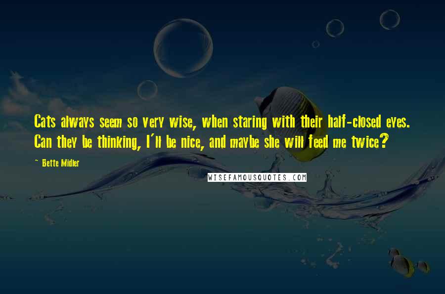 Bette Midler Quotes: Cats always seem so very wise, when staring with their half-closed eyes. Can they be thinking, I'll be nice, and maybe she will feed me twice?