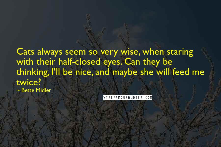 Bette Midler Quotes: Cats always seem so very wise, when staring with their half-closed eyes. Can they be thinking, I'll be nice, and maybe she will feed me twice?