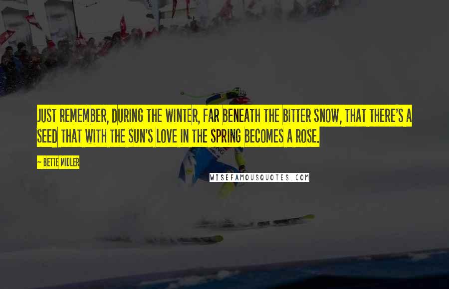 Bette Midler Quotes: Just remember, during the winter, far beneath the bitter snow, that there's a seed that with the sun's love in the spring becomes a rose.