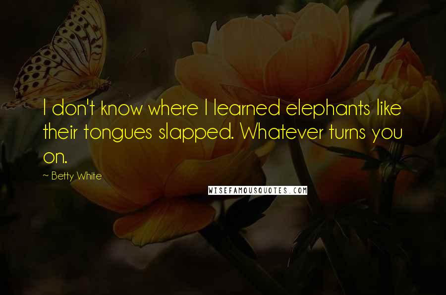 Betty White Quotes: I don't know where I learned elephants like their tongues slapped. Whatever turns you on.