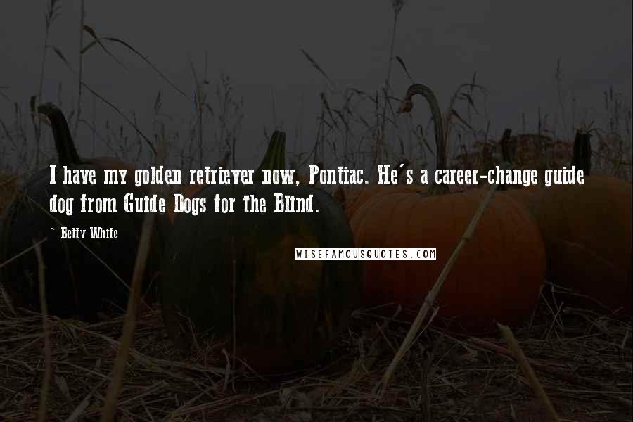 Betty White Quotes: I have my golden retriever now, Pontiac. He's a career-change guide dog from Guide Dogs for the Blind.