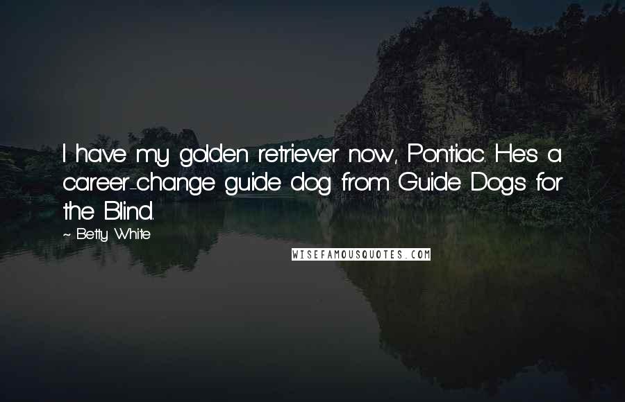 Betty White Quotes: I have my golden retriever now, Pontiac. He's a career-change guide dog from Guide Dogs for the Blind.