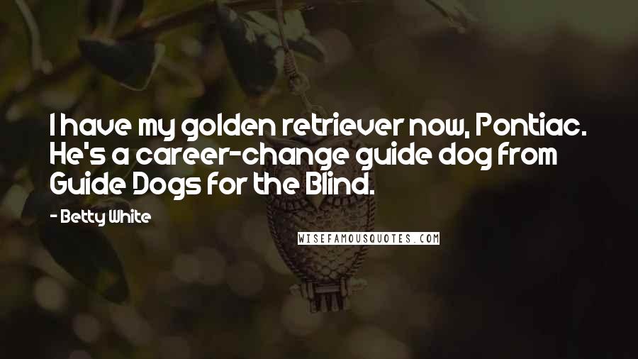 Betty White Quotes: I have my golden retriever now, Pontiac. He's a career-change guide dog from Guide Dogs for the Blind.