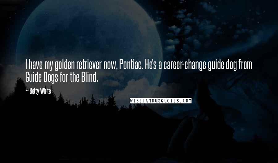 Betty White Quotes: I have my golden retriever now, Pontiac. He's a career-change guide dog from Guide Dogs for the Blind.