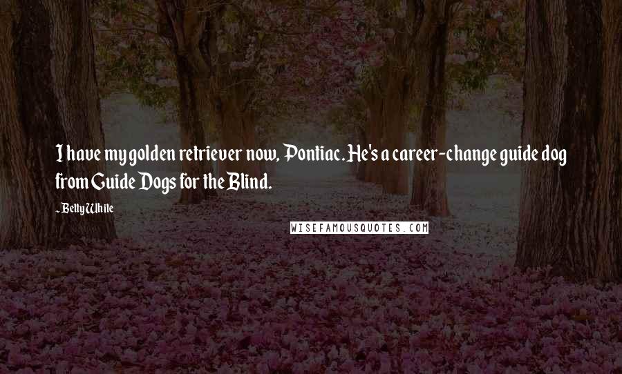 Betty White Quotes: I have my golden retriever now, Pontiac. He's a career-change guide dog from Guide Dogs for the Blind.