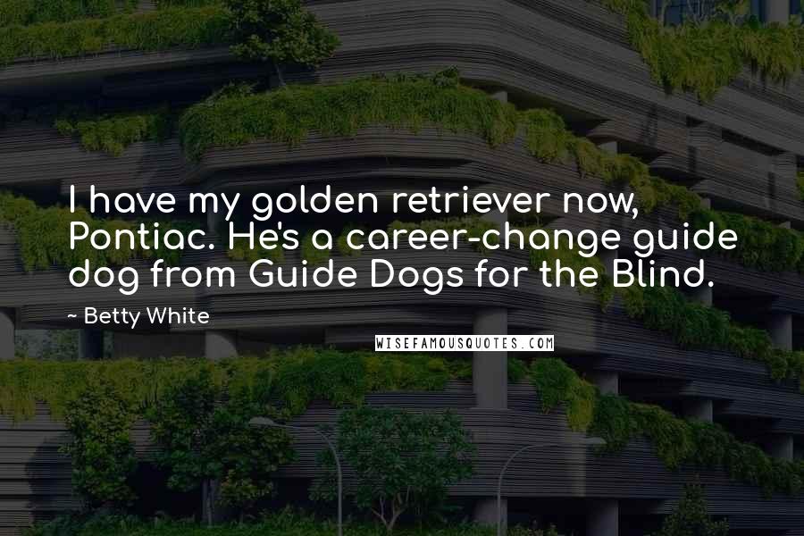 Betty White Quotes: I have my golden retriever now, Pontiac. He's a career-change guide dog from Guide Dogs for the Blind.