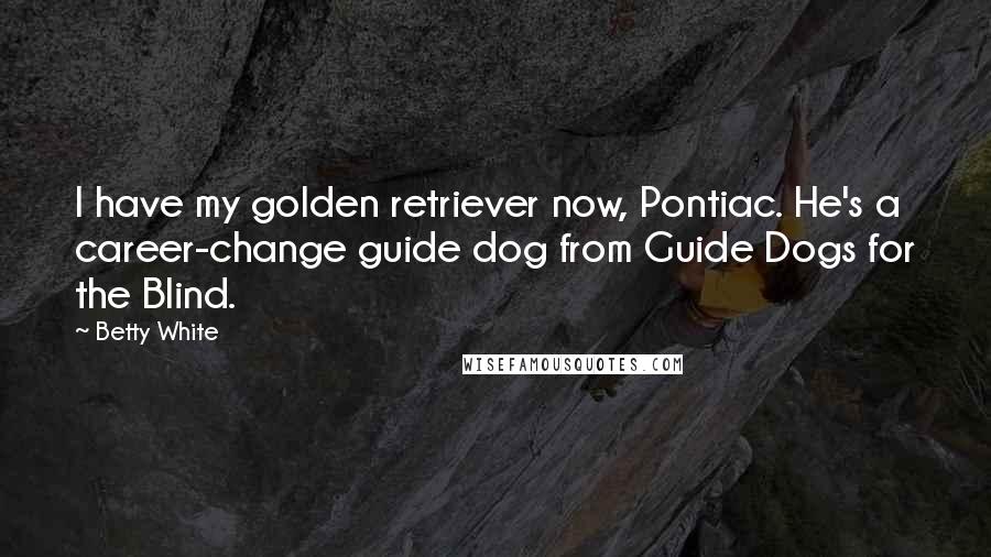 Betty White Quotes: I have my golden retriever now, Pontiac. He's a career-change guide dog from Guide Dogs for the Blind.