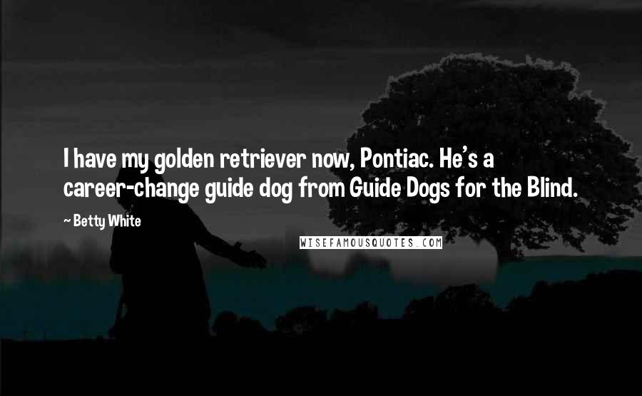 Betty White Quotes: I have my golden retriever now, Pontiac. He's a career-change guide dog from Guide Dogs for the Blind.