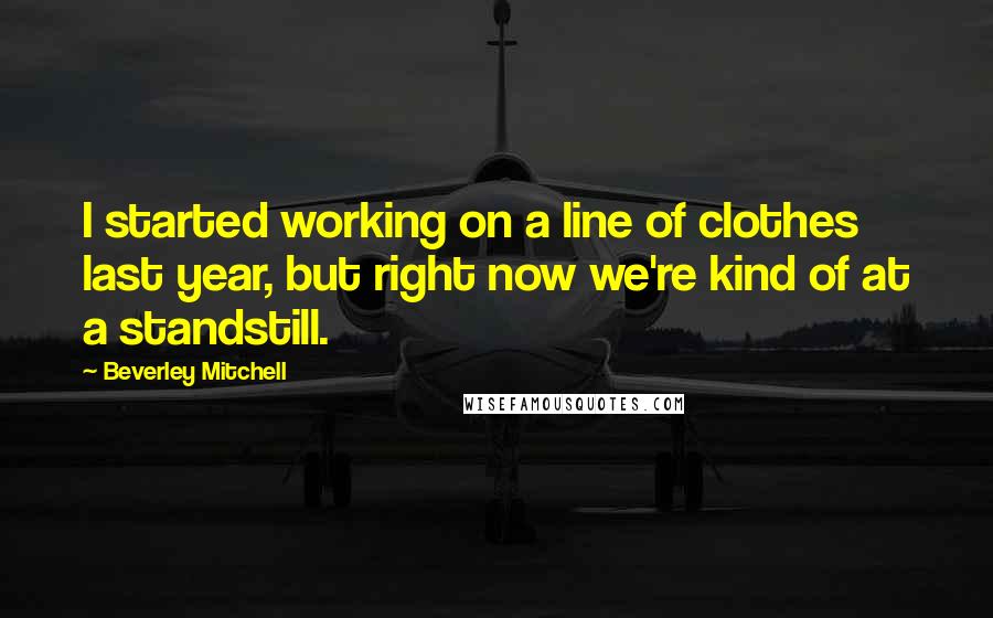 Beverley Mitchell Quotes: I started working on a line of clothes last year, but right now we're kind of at a standstill.