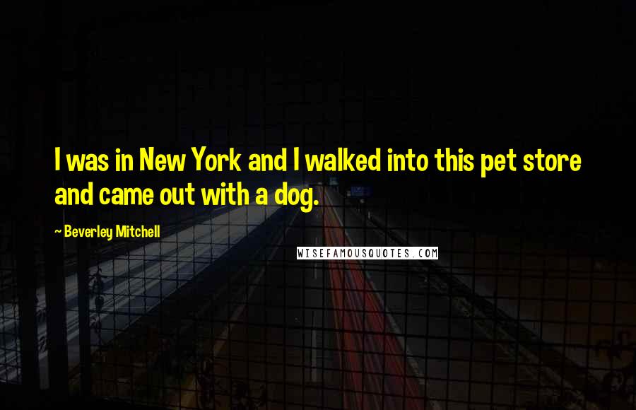 Beverley Mitchell Quotes: I was in New York and I walked into this pet store and came out with a dog.