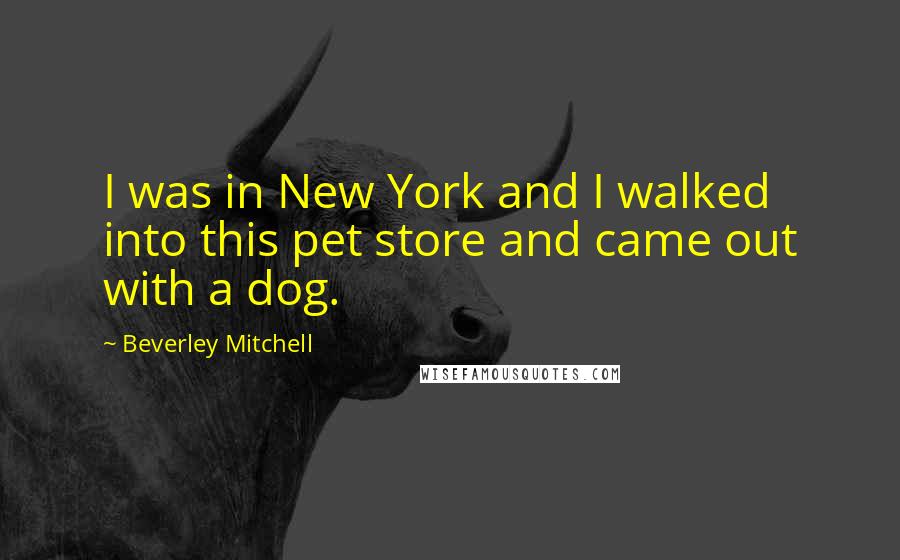 Beverley Mitchell Quotes: I was in New York and I walked into this pet store and came out with a dog.