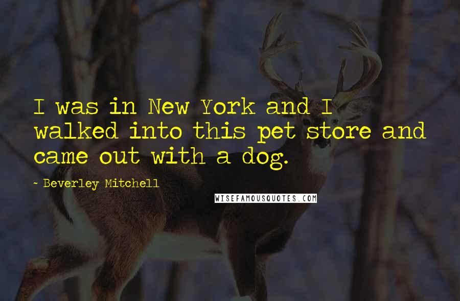 Beverley Mitchell Quotes: I was in New York and I walked into this pet store and came out with a dog.