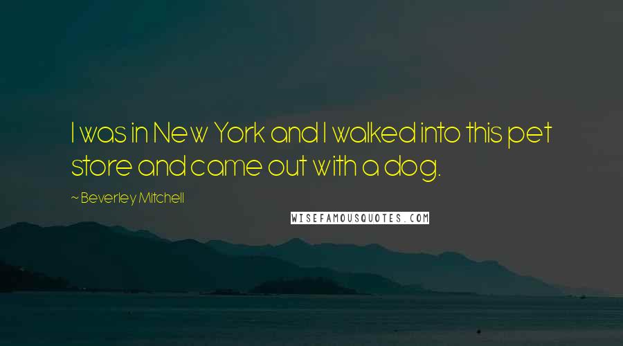 Beverley Mitchell Quotes: I was in New York and I walked into this pet store and came out with a dog.
