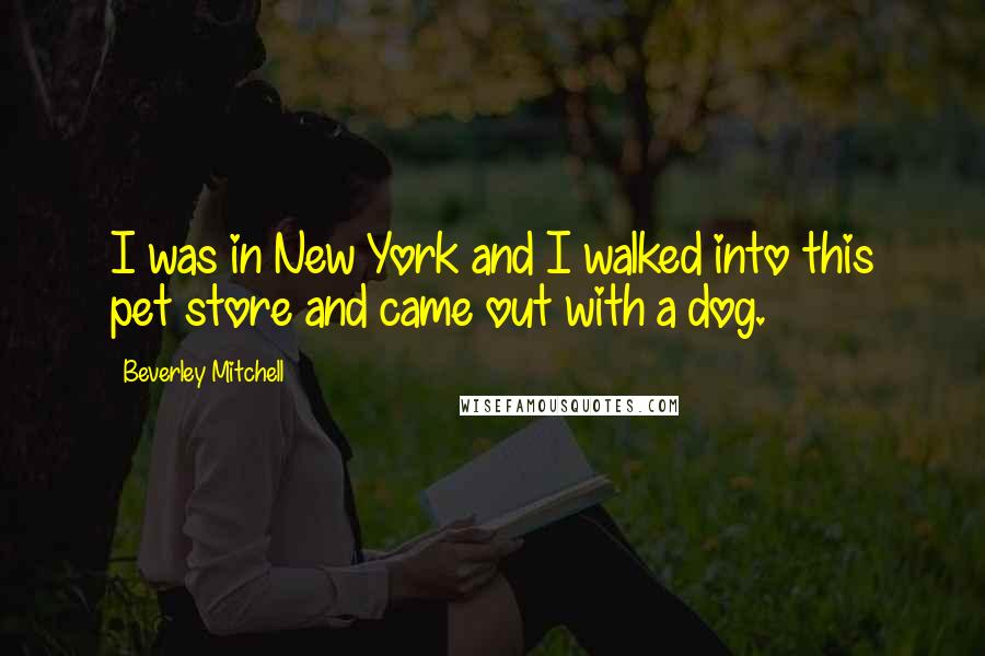 Beverley Mitchell Quotes: I was in New York and I walked into this pet store and came out with a dog.