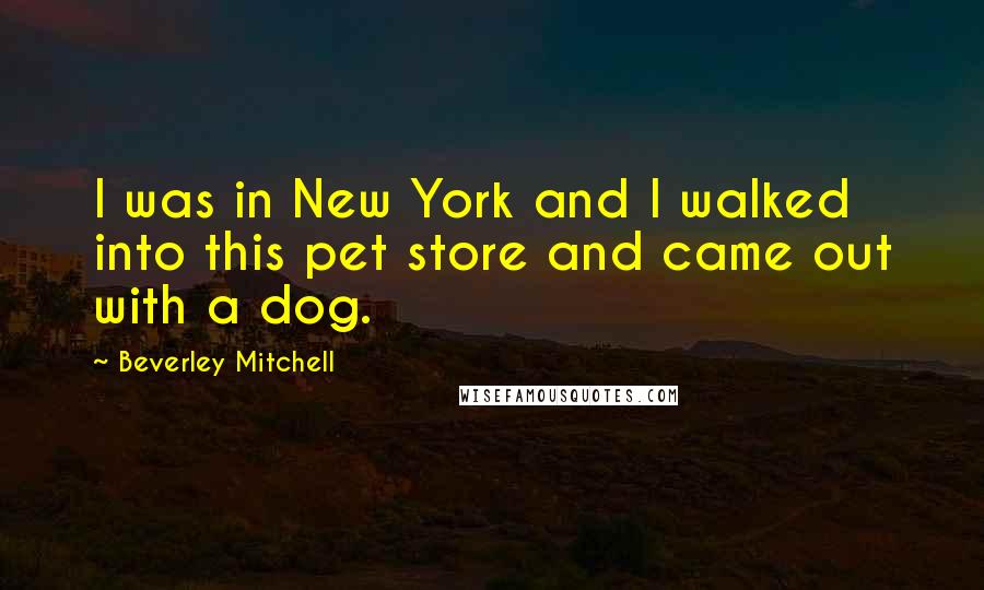 Beverley Mitchell Quotes: I was in New York and I walked into this pet store and came out with a dog.