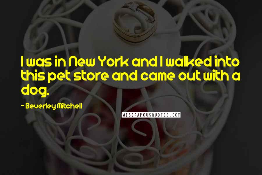 Beverley Mitchell Quotes: I was in New York and I walked into this pet store and came out with a dog.