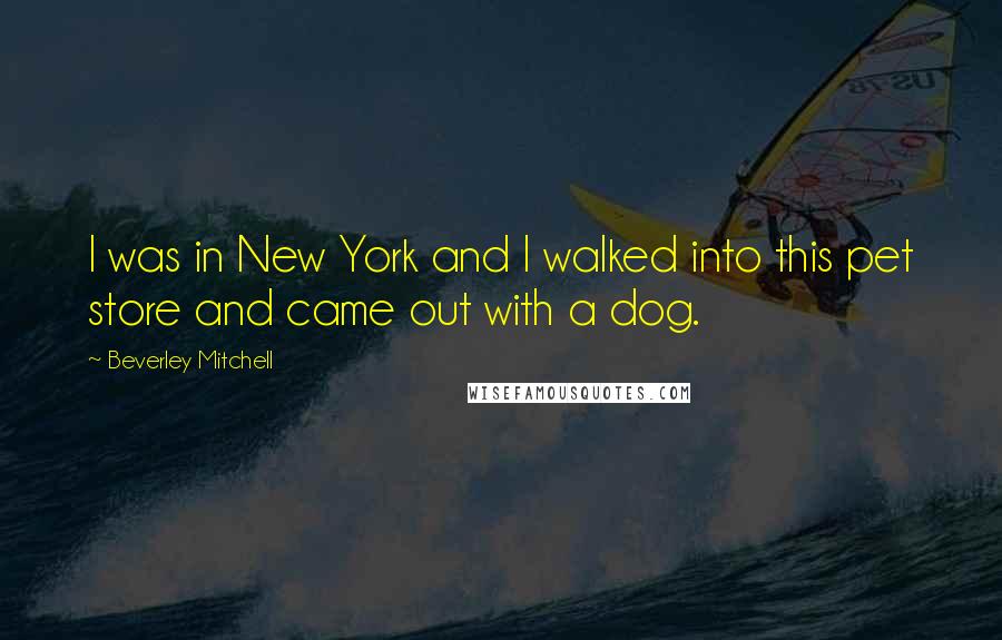 Beverley Mitchell Quotes: I was in New York and I walked into this pet store and came out with a dog.