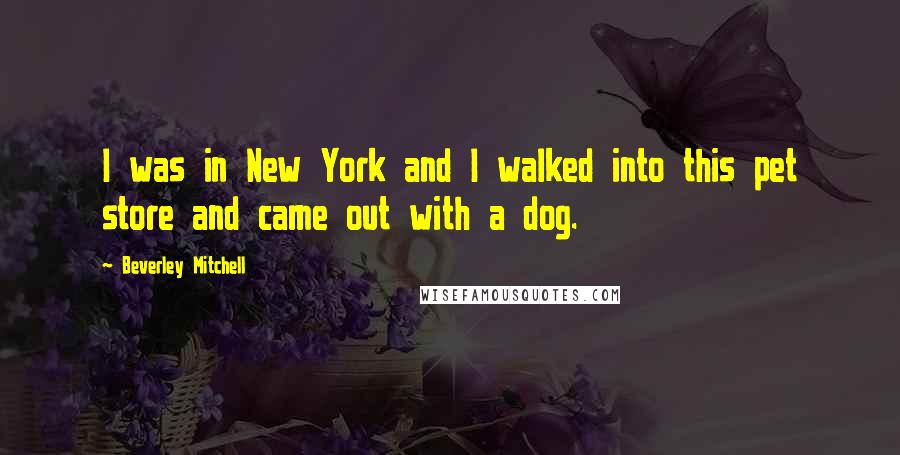 Beverley Mitchell Quotes: I was in New York and I walked into this pet store and came out with a dog.
