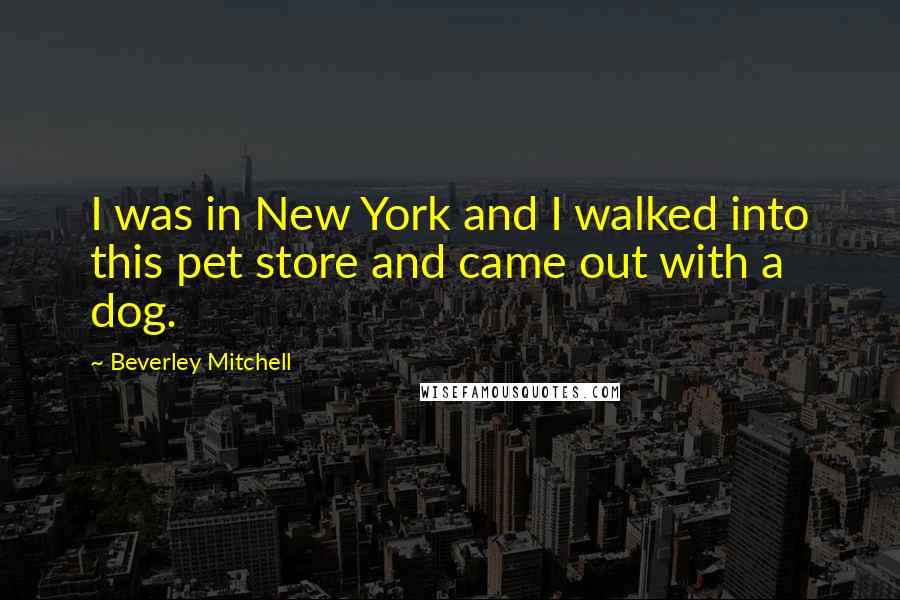 Beverley Mitchell Quotes: I was in New York and I walked into this pet store and came out with a dog.