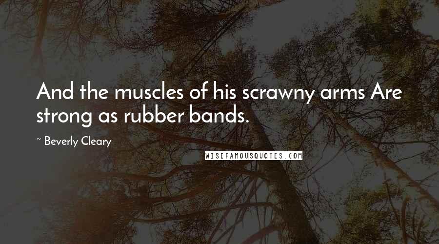 Beverly Cleary Quotes: And the muscles of his scrawny arms Are strong as rubber bands.