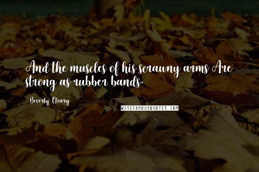 Beverly Cleary Quotes: And the muscles of his scrawny arms Are strong as rubber bands.