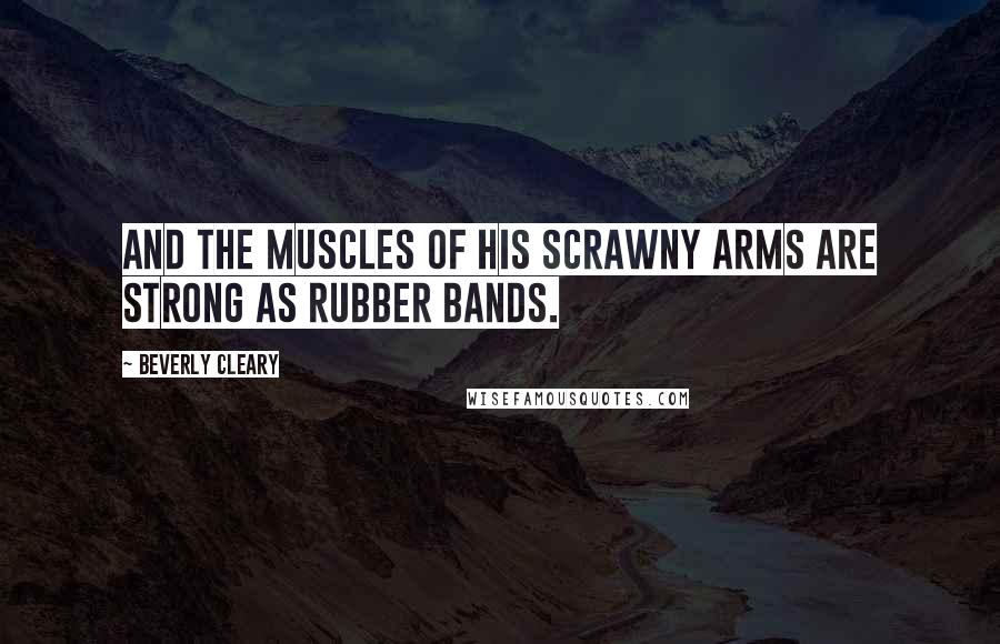 Beverly Cleary Quotes: And the muscles of his scrawny arms Are strong as rubber bands.