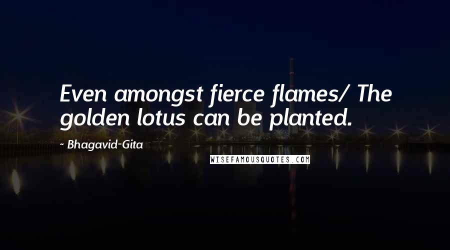 Bhagavid-Gita Quotes: Even amongst fierce flames/ The golden lotus can be planted.