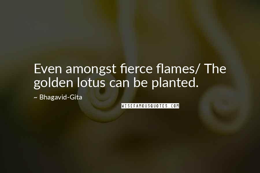 Bhagavid-Gita Quotes: Even amongst fierce flames/ The golden lotus can be planted.