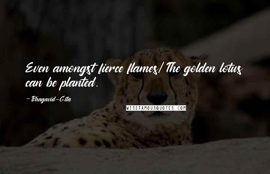 Bhagavid-Gita Quotes: Even amongst fierce flames/ The golden lotus can be planted.