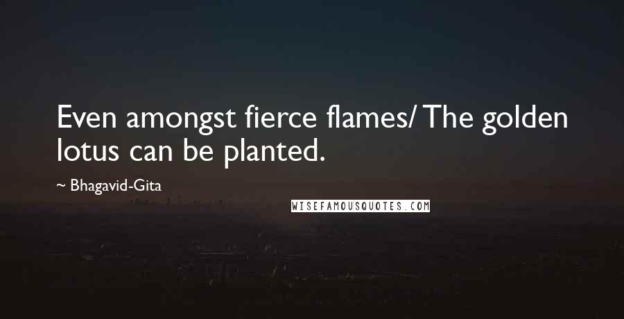 Bhagavid-Gita Quotes: Even amongst fierce flames/ The golden lotus can be planted.