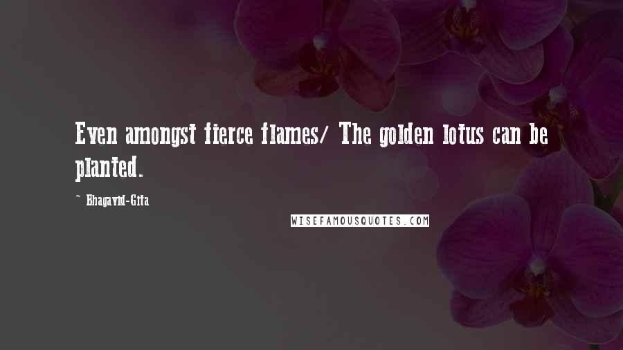 Bhagavid-Gita Quotes: Even amongst fierce flames/ The golden lotus can be planted.