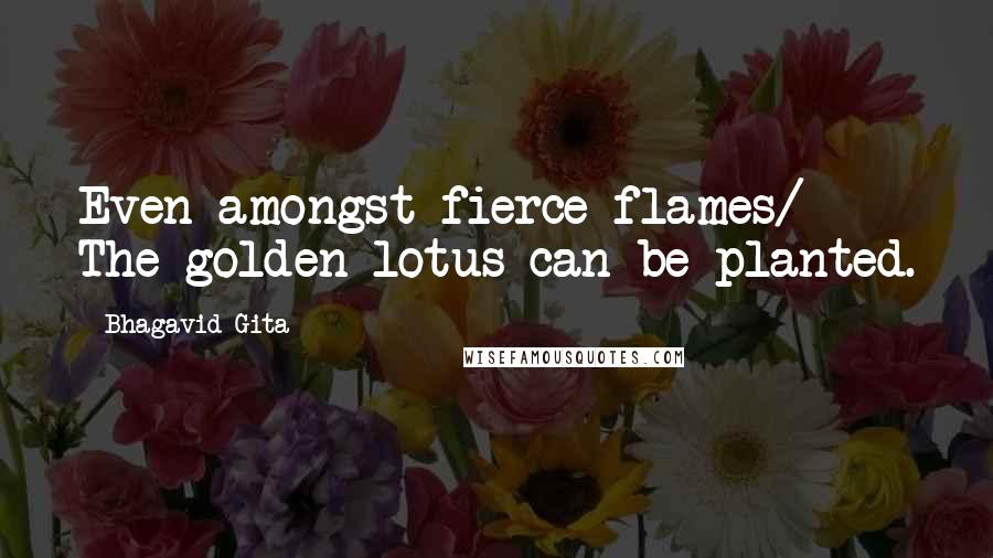Bhagavid-Gita Quotes: Even amongst fierce flames/ The golden lotus can be planted.