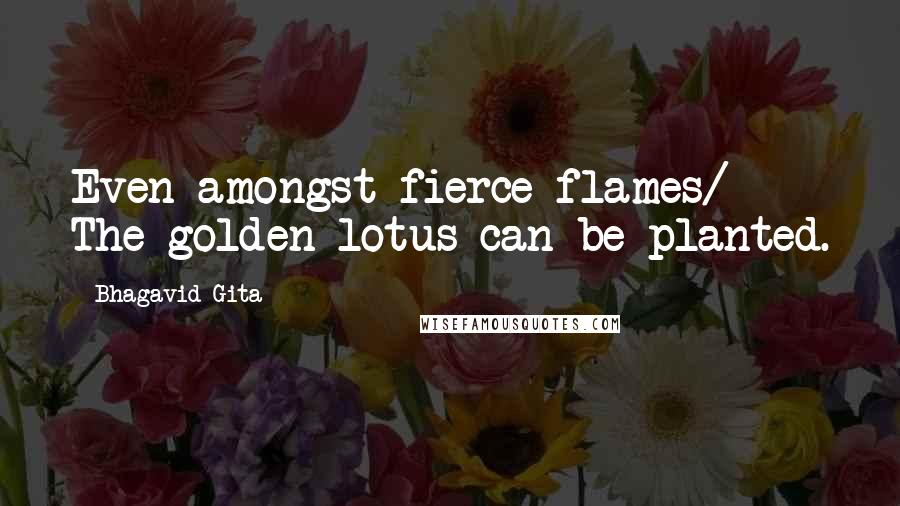 Bhagavid-Gita Quotes: Even amongst fierce flames/ The golden lotus can be planted.