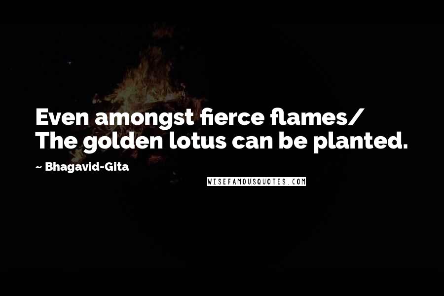 Bhagavid-Gita Quotes: Even amongst fierce flames/ The golden lotus can be planted.