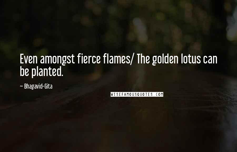 Bhagavid-Gita Quotes: Even amongst fierce flames/ The golden lotus can be planted.