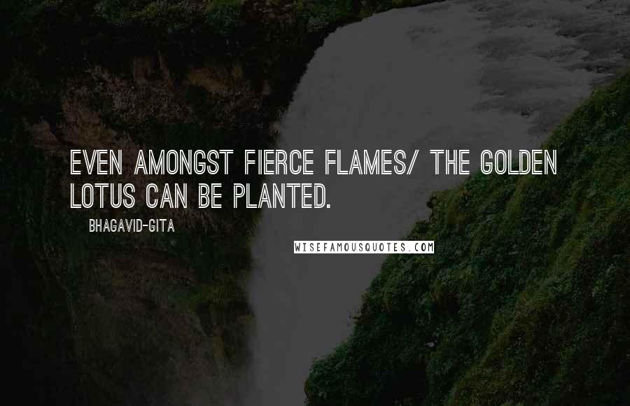 Bhagavid-Gita Quotes: Even amongst fierce flames/ The golden lotus can be planted.