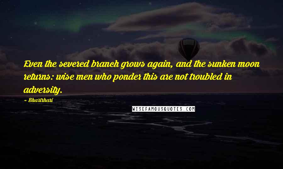 Bhartrhari Quotes: Even the severed branch grows again, and the sunken moon returns: wise men who ponder this are not troubled in adversity.