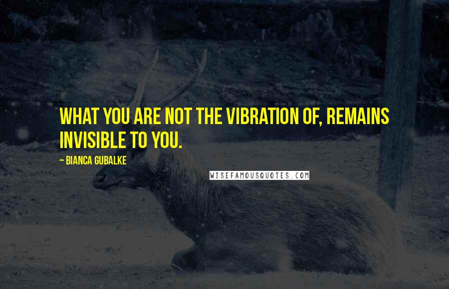 Bianca Gubalke Quotes: What you are not the vibration of, remains invisible to you.