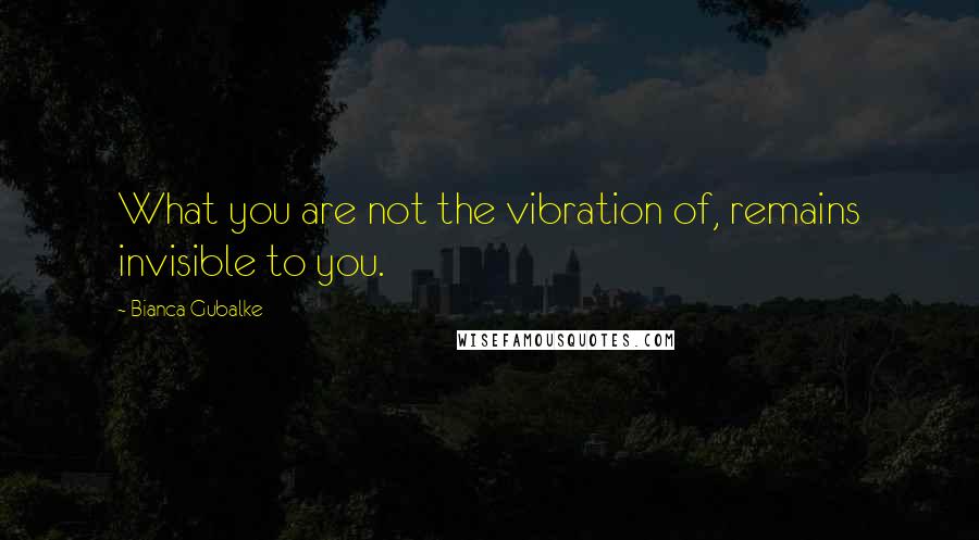 Bianca Gubalke Quotes: What you are not the vibration of, remains invisible to you.