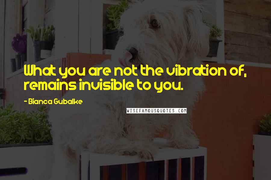 Bianca Gubalke Quotes: What you are not the vibration of, remains invisible to you.